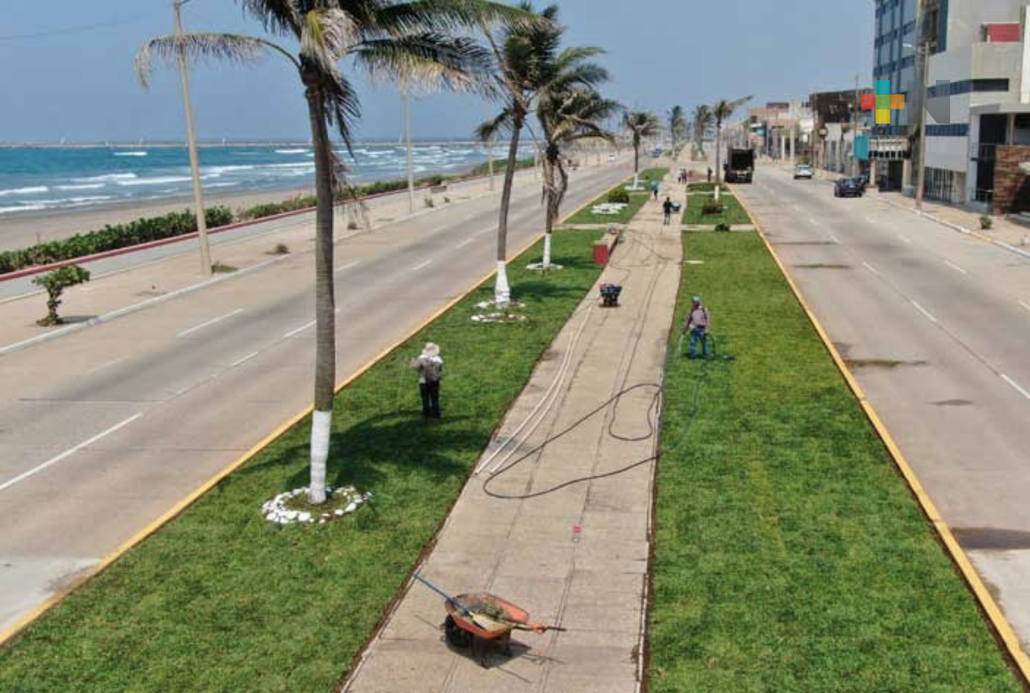 Domina temperatura muy cálida y ambiente bochornoso en el estado